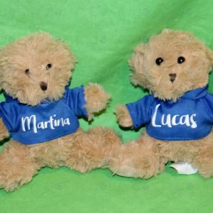 Osito de peluche personalizado