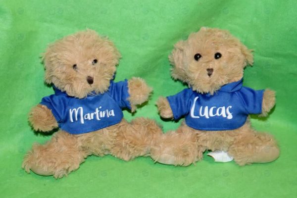 Osito de peluche personalizado