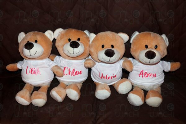 Oso de Peluche con nombre personalizado