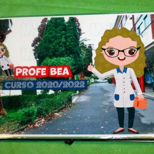 Muestra álbum desplegables profesores