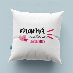 Cojín personalizado mamá molona