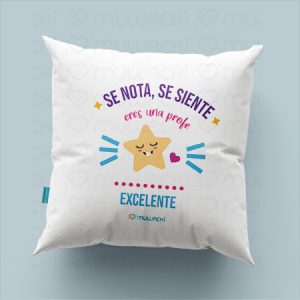 Cojín personalizado profe eres excelente